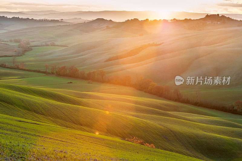 在傍晚的阳光下滚动的托斯卡纳风景，Val D'orcia，意大利